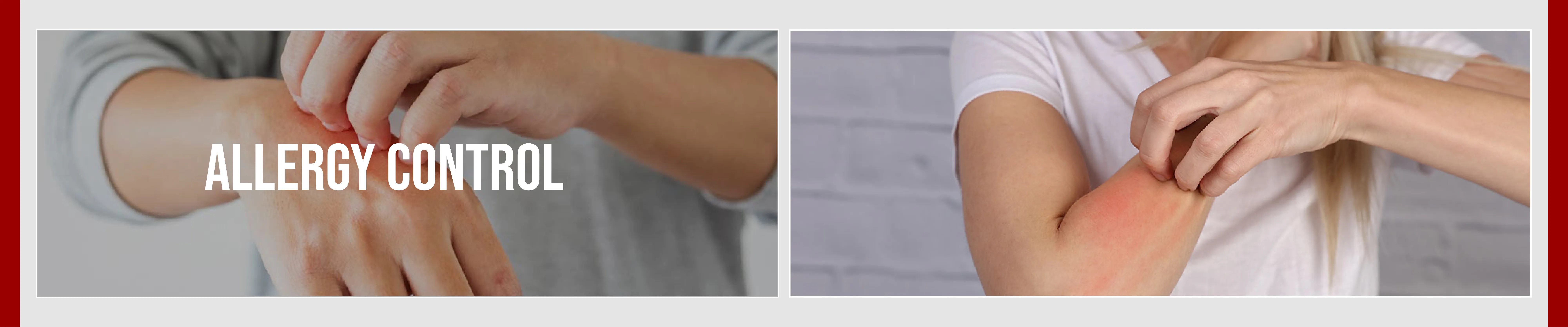 carpet cleaning in queens, carpet cleaning queens, carpet cleaners in queens, carpet cleaners in queens, commercial carpet cleaning, commercial carpet cleaning in queens, queens rug cleaners, rug cleaning services in queens, same day carpet cleaning, same day rug cleaning in queens