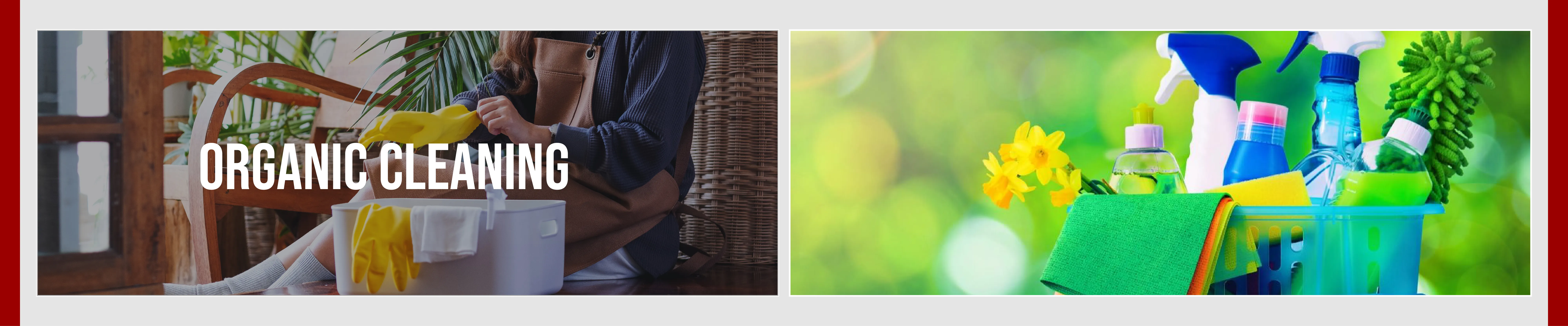 carpet cleaning in queens, carpet cleaning queens, carpet cleaners in queens, carpet cleaners in queens, commercial carpet cleaning, commercial carpet cleaning in queens, queens rug cleaners, rug cleaning services in queens, same day carpet cleaning, same day rug cleaning in queens