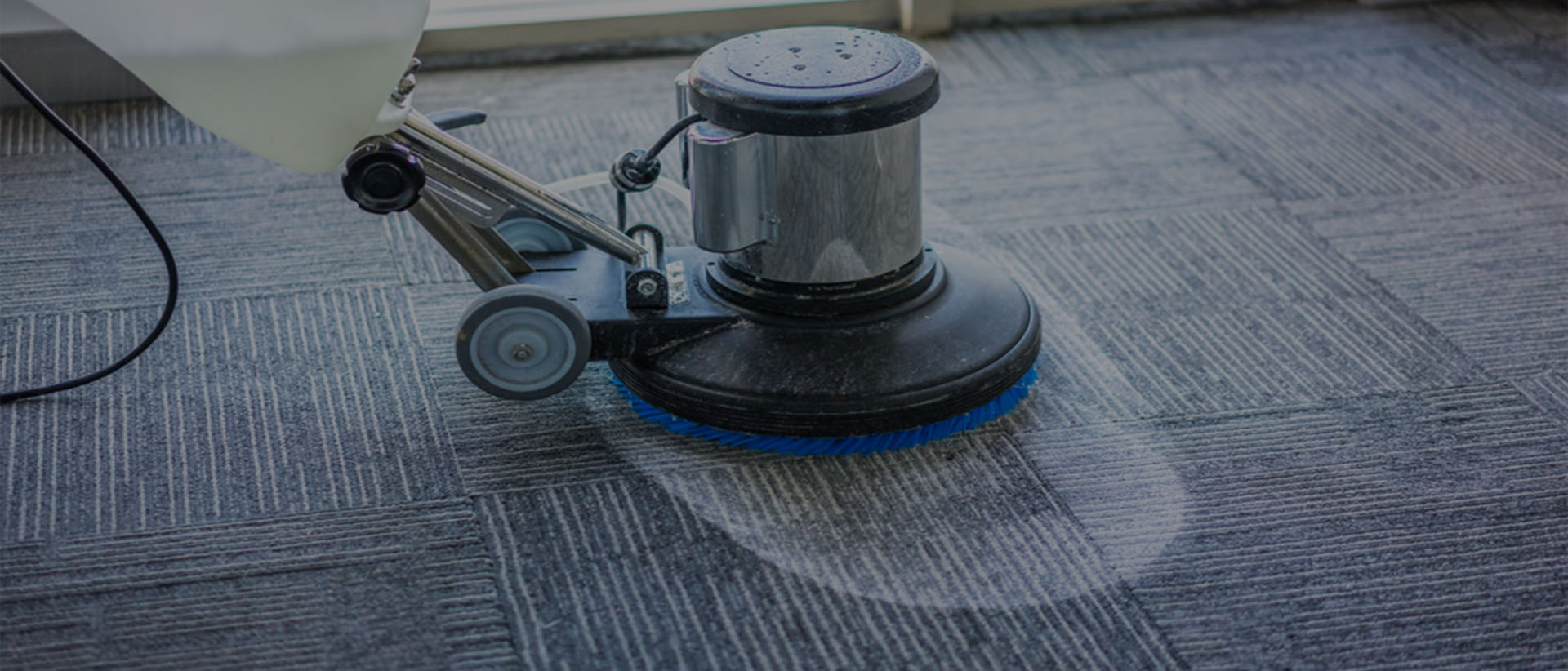 carpet cleaning in queens, carpet cleaning queens, carpet cleaners in queens, carpet cleaners in queens, commercial carpet cleaning, commercial carpet cleaning in queens, queens rug cleaners, rug cleaning services in queens, same day carpet cleaning, same day rug cleaning in queens