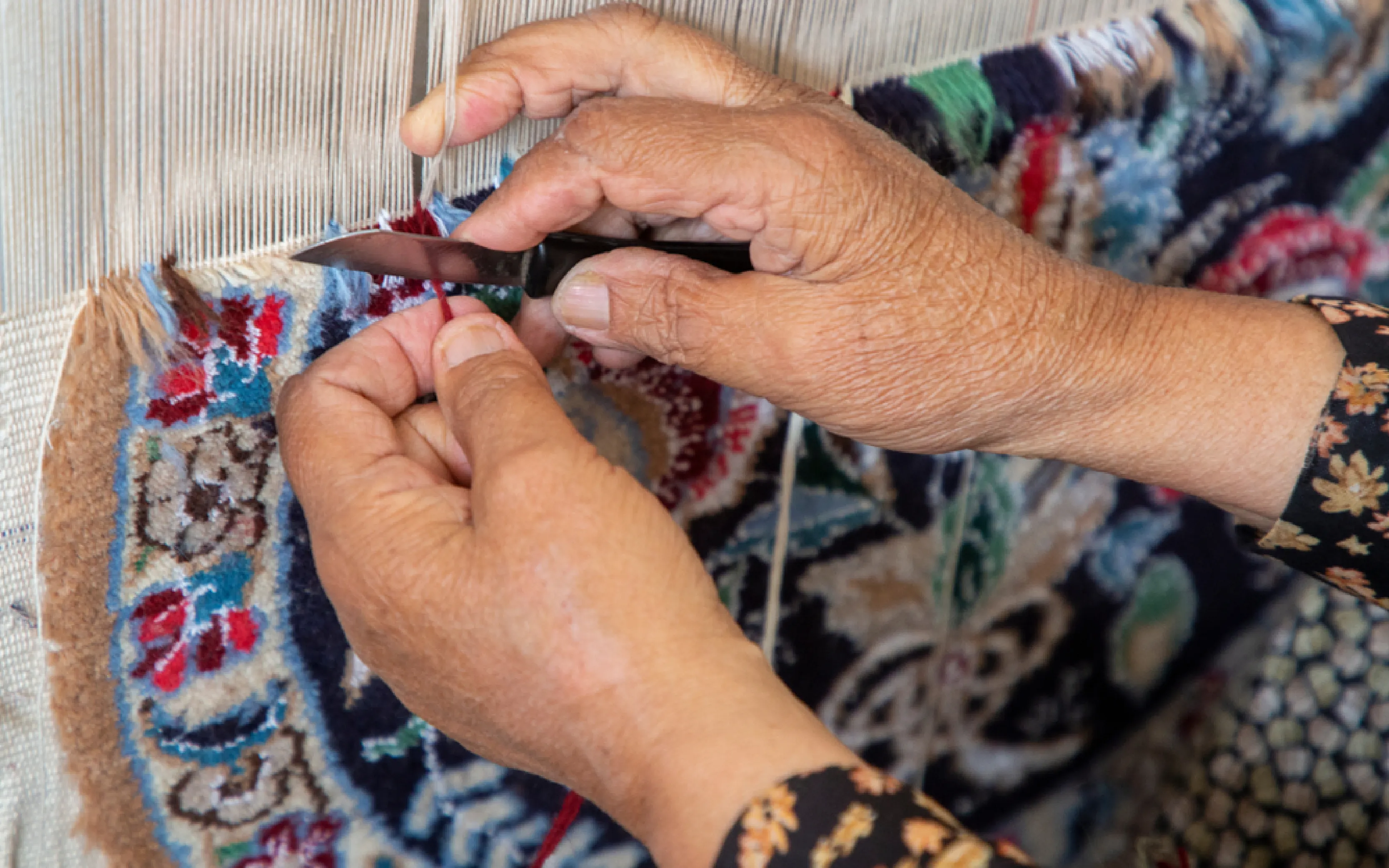 carpet cleaning in queens, carpet cleaning queens, carpet cleaners in queens, carpet cleaners in queens, commercial carpet cleaning, commercial carpet cleaning in queens, queens rug cleaners, rug cleaning services in queens, same day carpet cleaning, same day rug cleaning in queens